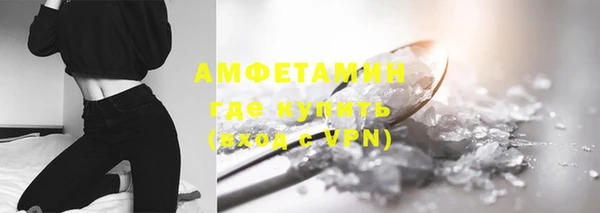 сатива Кинешма