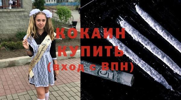 сатива Кинешма