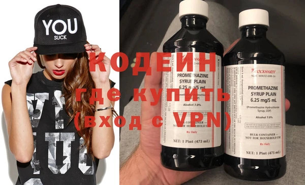 сатива Кинешма