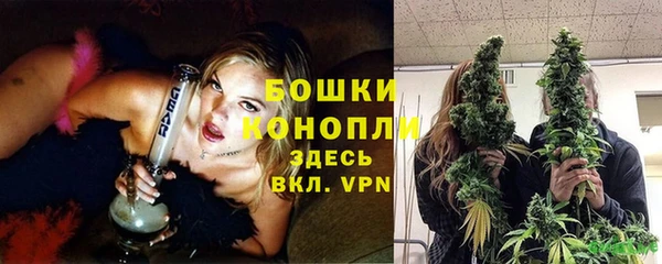 ПСИЛОЦИБИНОВЫЕ ГРИБЫ Козельск