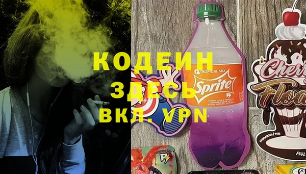 сатива Кинешма