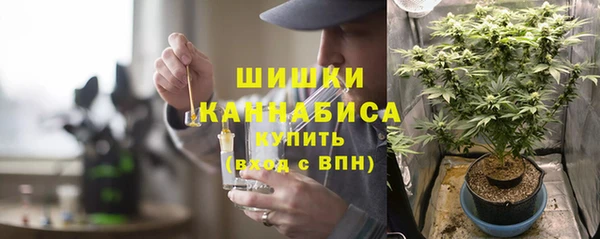 прущие грибы Наволоки