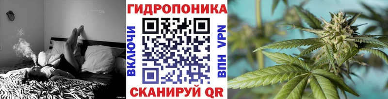 Марихуана Amnesia  Бирюч 